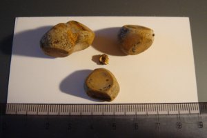 Epeköveim